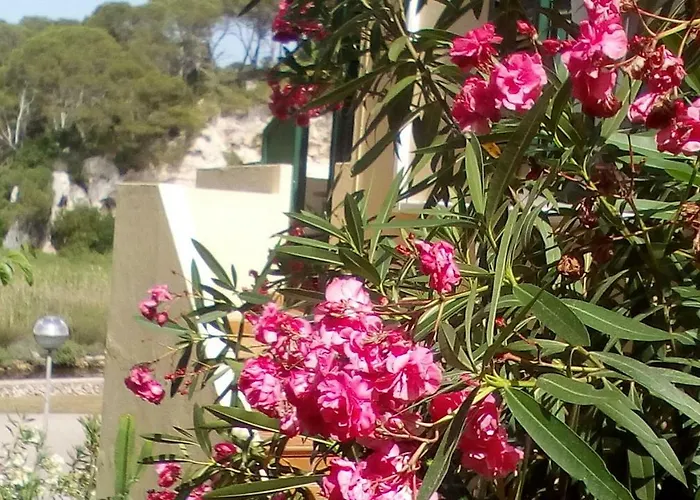 Cala Galdana Beach *