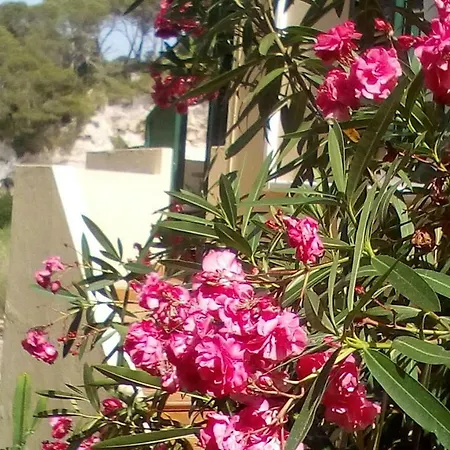 Cala Galdana Beach *