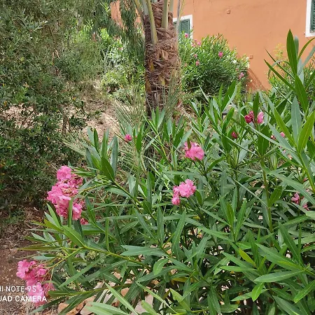 Apartman Cala Galdana Beach