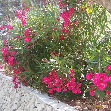Apartman Cala Galdana Beach Cala Galdana