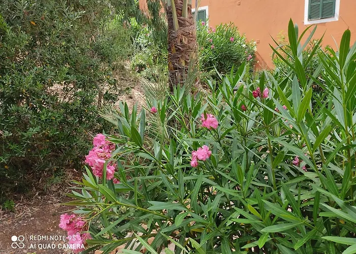 דירה Cala Galdana Beach